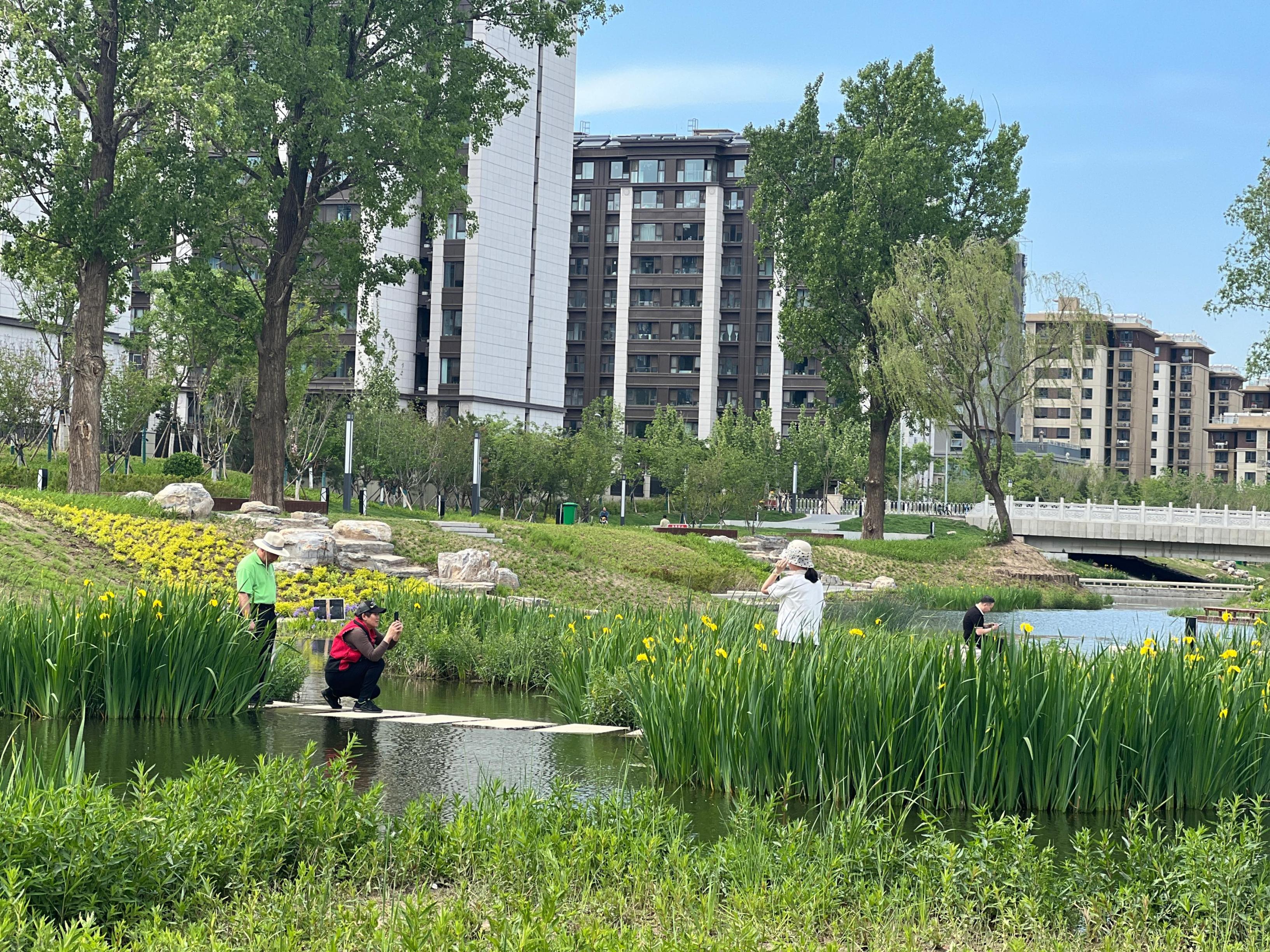 五一渠生態濱河公園內，市民正在拍照留念。人民網 歐陽易佳攝