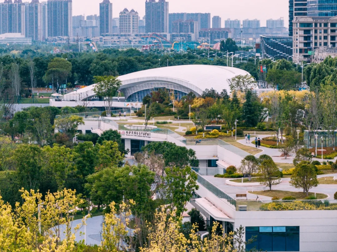 中亞公園毗鄰峰會會址，位于西安浐灞國際港會展一路東南側綠地，占地面積約800畝（圖源：西安發布）