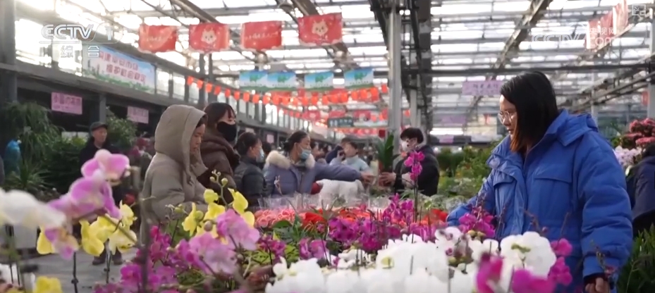 节日市场红红火火，文化味、年味儿……好一幅人间烟火气的“年俗画”