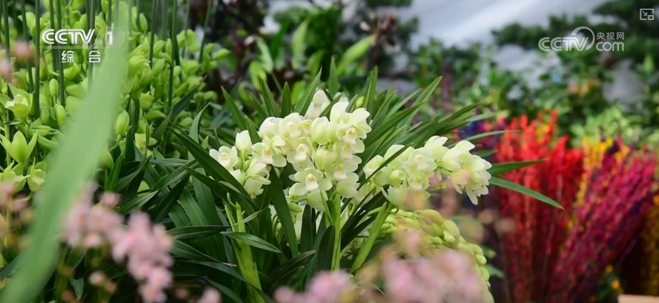 节日市场红红火火，文化味、年味儿……好一幅人间烟火气的“年俗画”