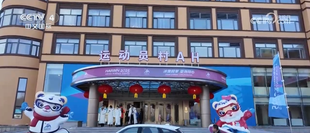 药材桔梗是什么样的