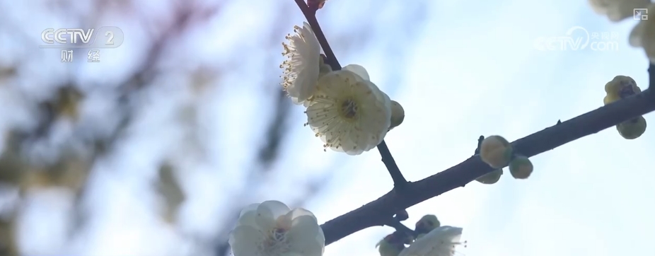创新服务提升消费体验 解锁“美丽经济”百变打开方式