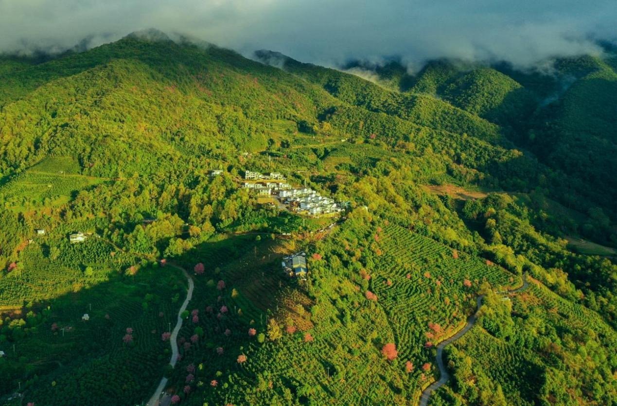 普洱市文化和旅游局供图