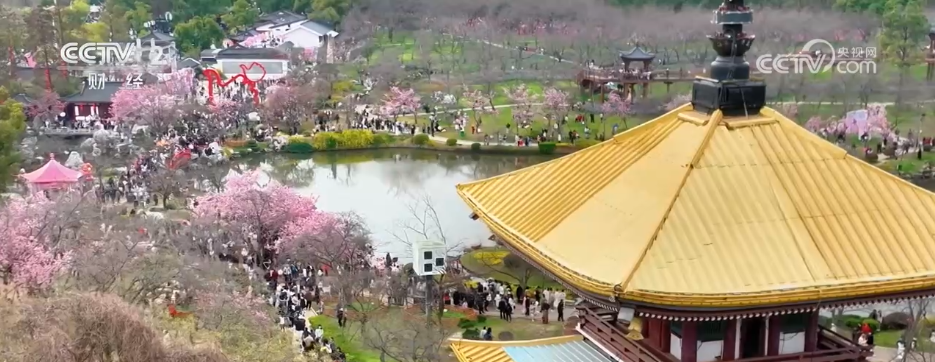 各地掀起赏花热潮 “花经济”在春日中盛开