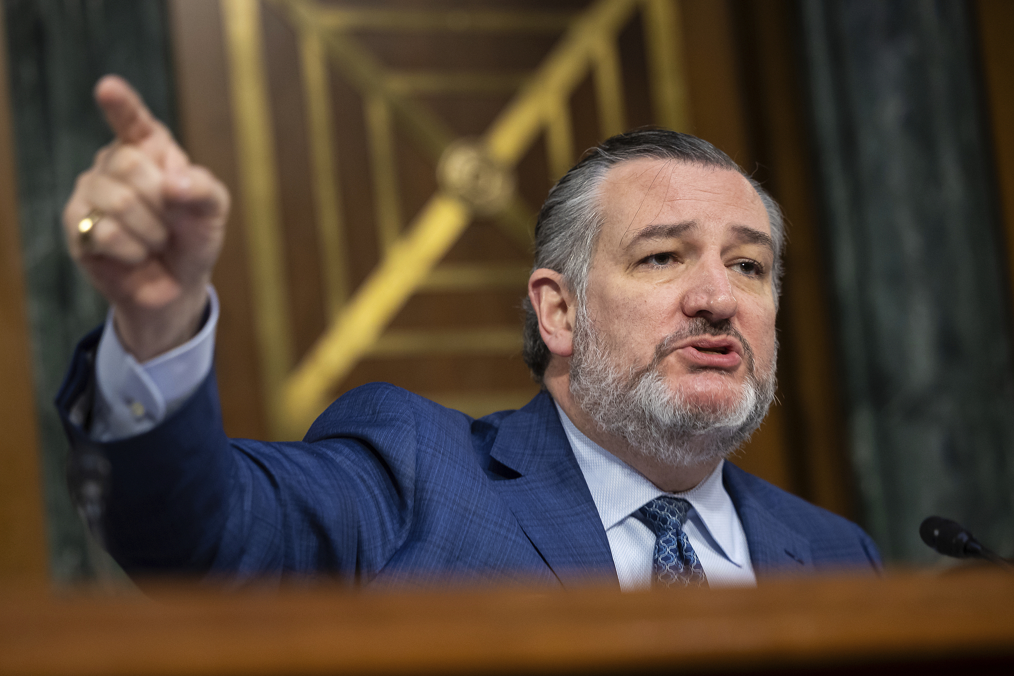 Texas Republican Senator Ted Cruz speaks during a hearing on Capitol Hill, D.C., U.S., March 27, 2025. /VCG