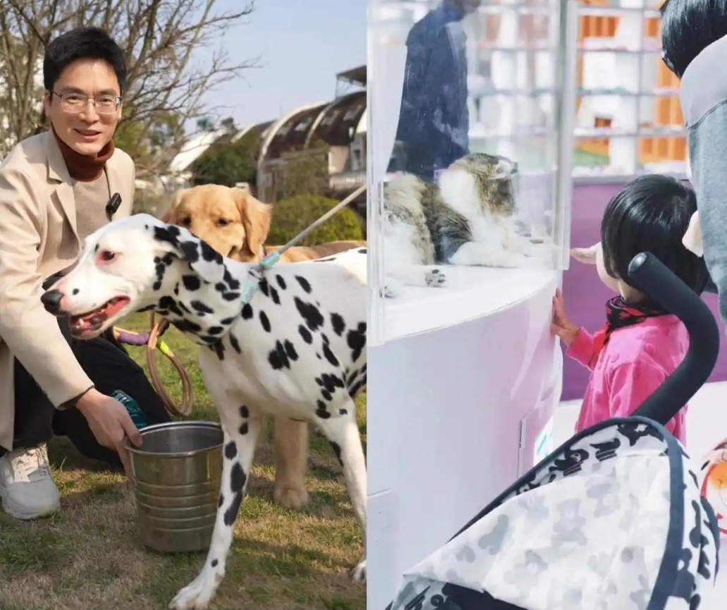人宠友好共处（受访者供图）