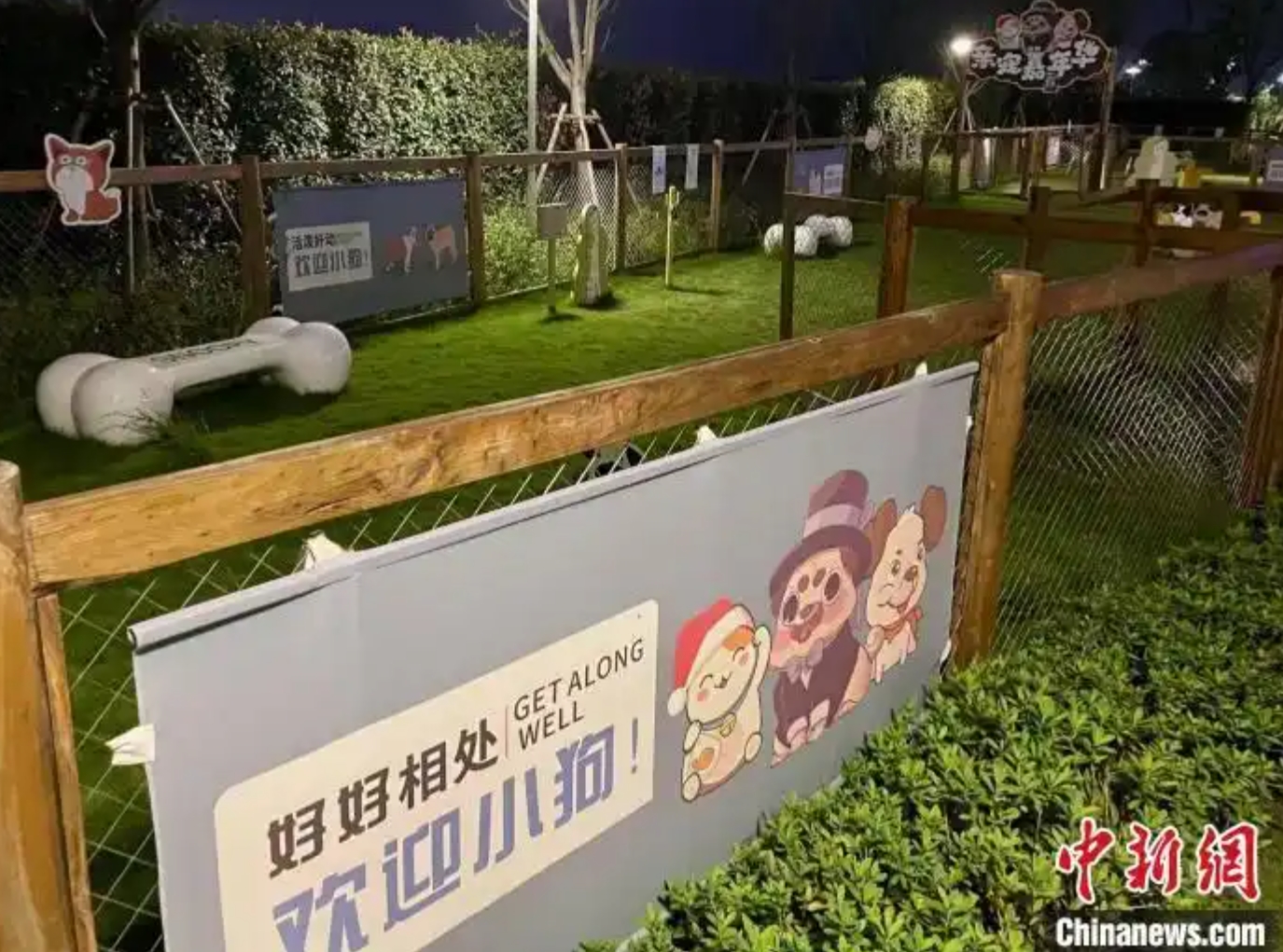 2024年10月，浙江宁波一处宠物友好场所。