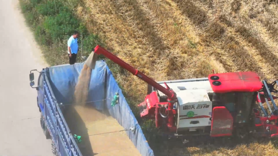 &ldquo;三夏&rdquo;生产一线观察｜智能农业&ldquo;慧&rdquo;丰收