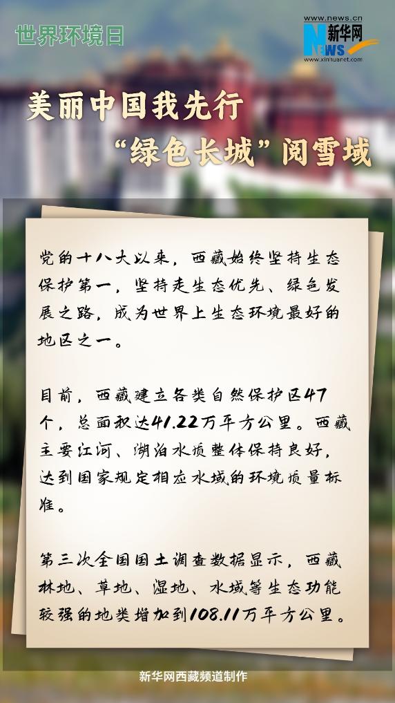 世界环境日｜美丽中国我先行 “绿色长城”阅雪域  第1张