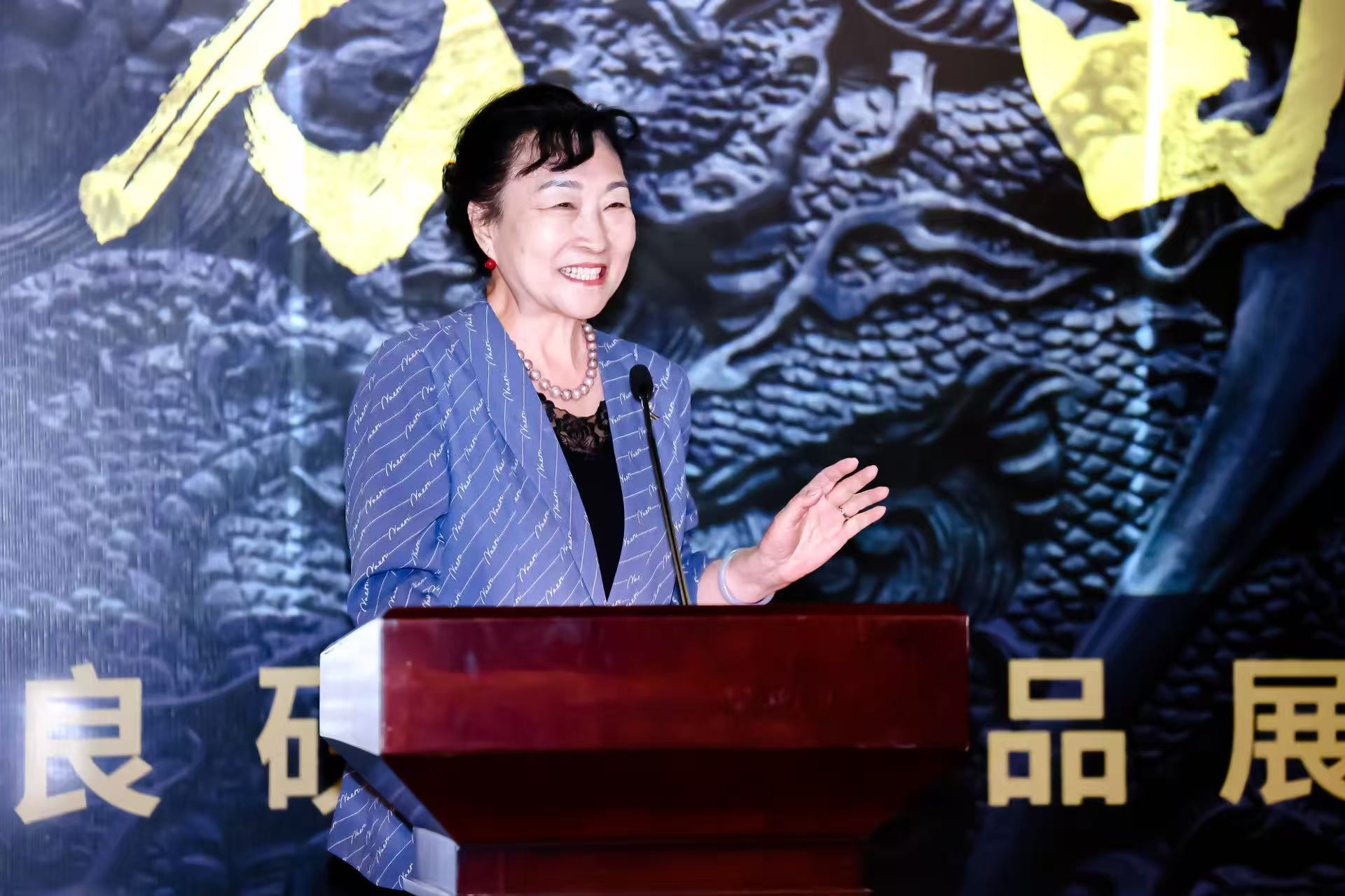 赵少华在开幕式上致辞