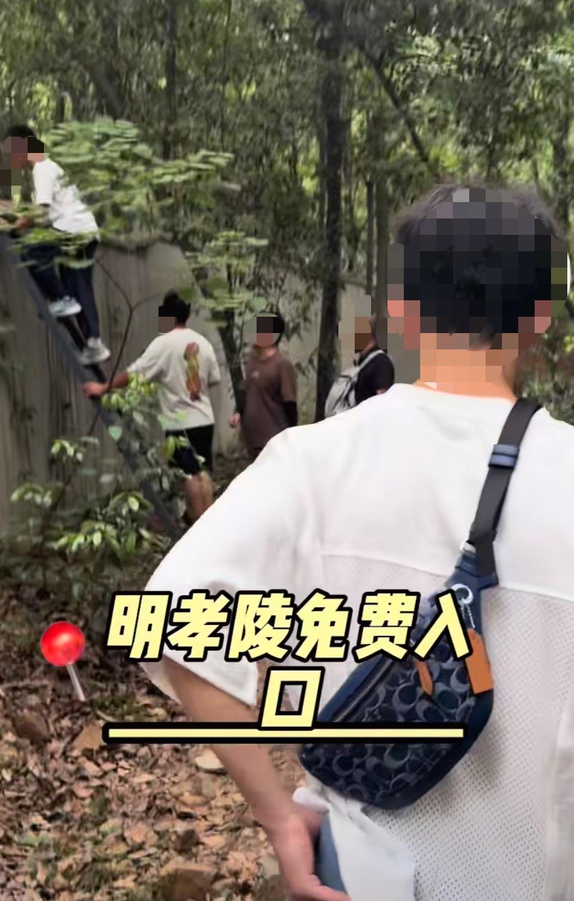 游客为逃票翻墙进明孝陵 景区：已派人到现场处置