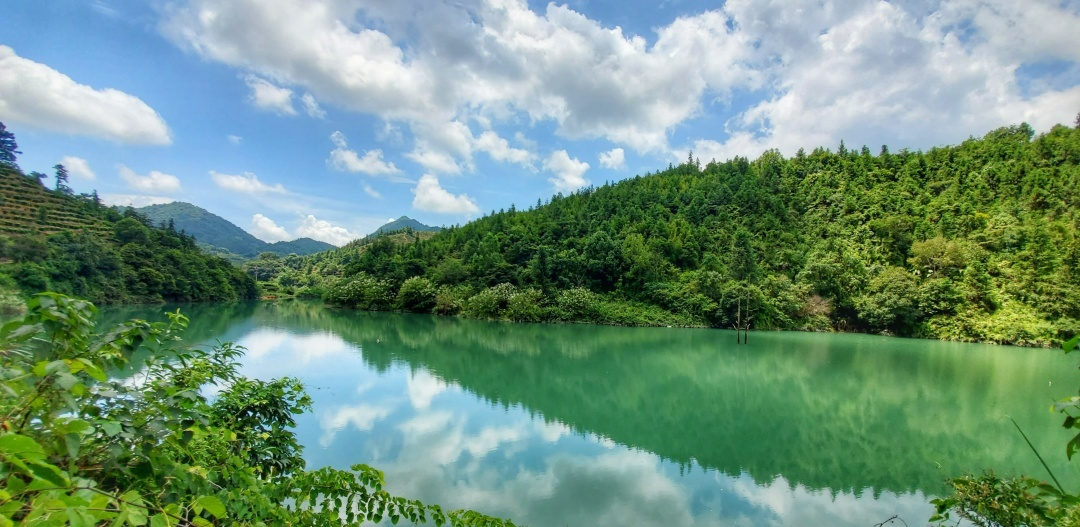 广东潮安凤凰山省级自然保护区