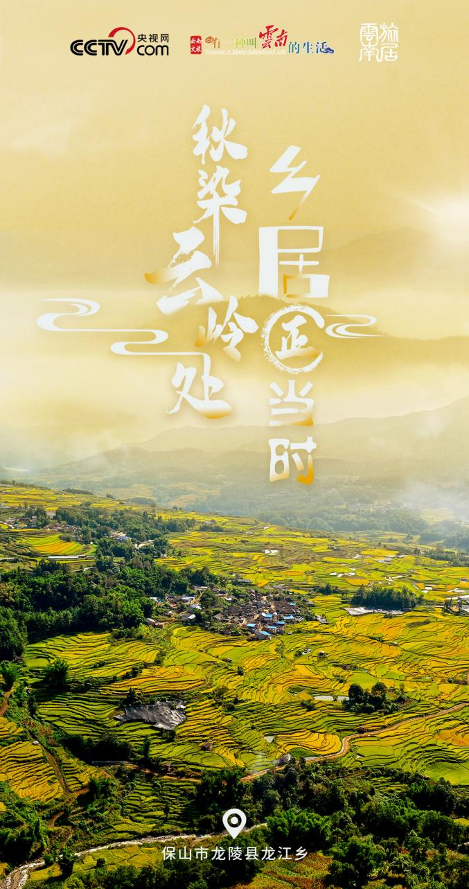 （龙陵县委宣传部 供图）
