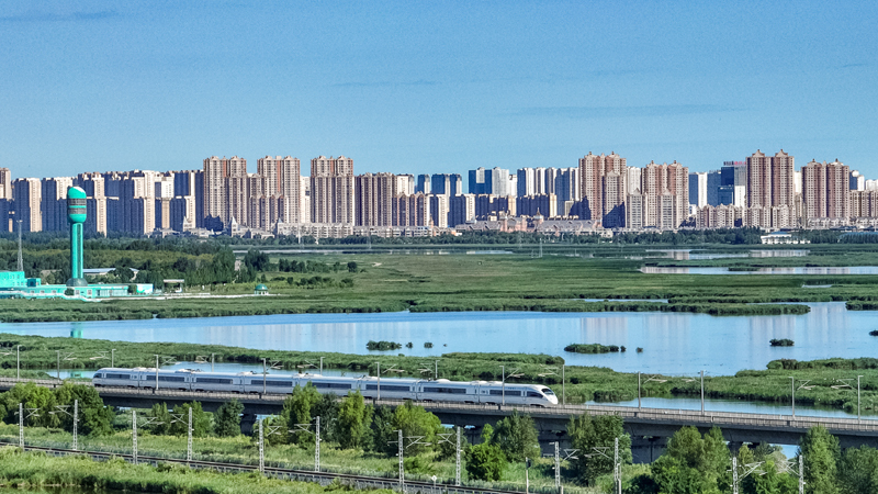 2025年8月17日，一列動車組列車駛過大慶東站。