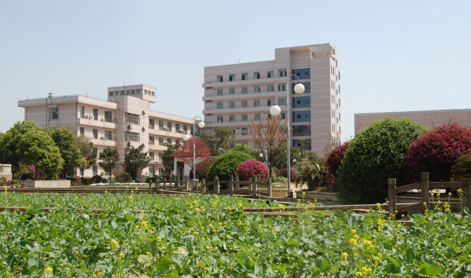 海利集团研究院