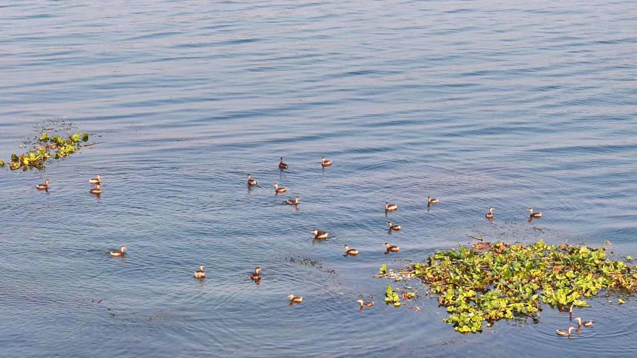 С����һ����Ϣ�ھ�ֹ�����ٻ�����ˮ���У��ξ�/�㣩