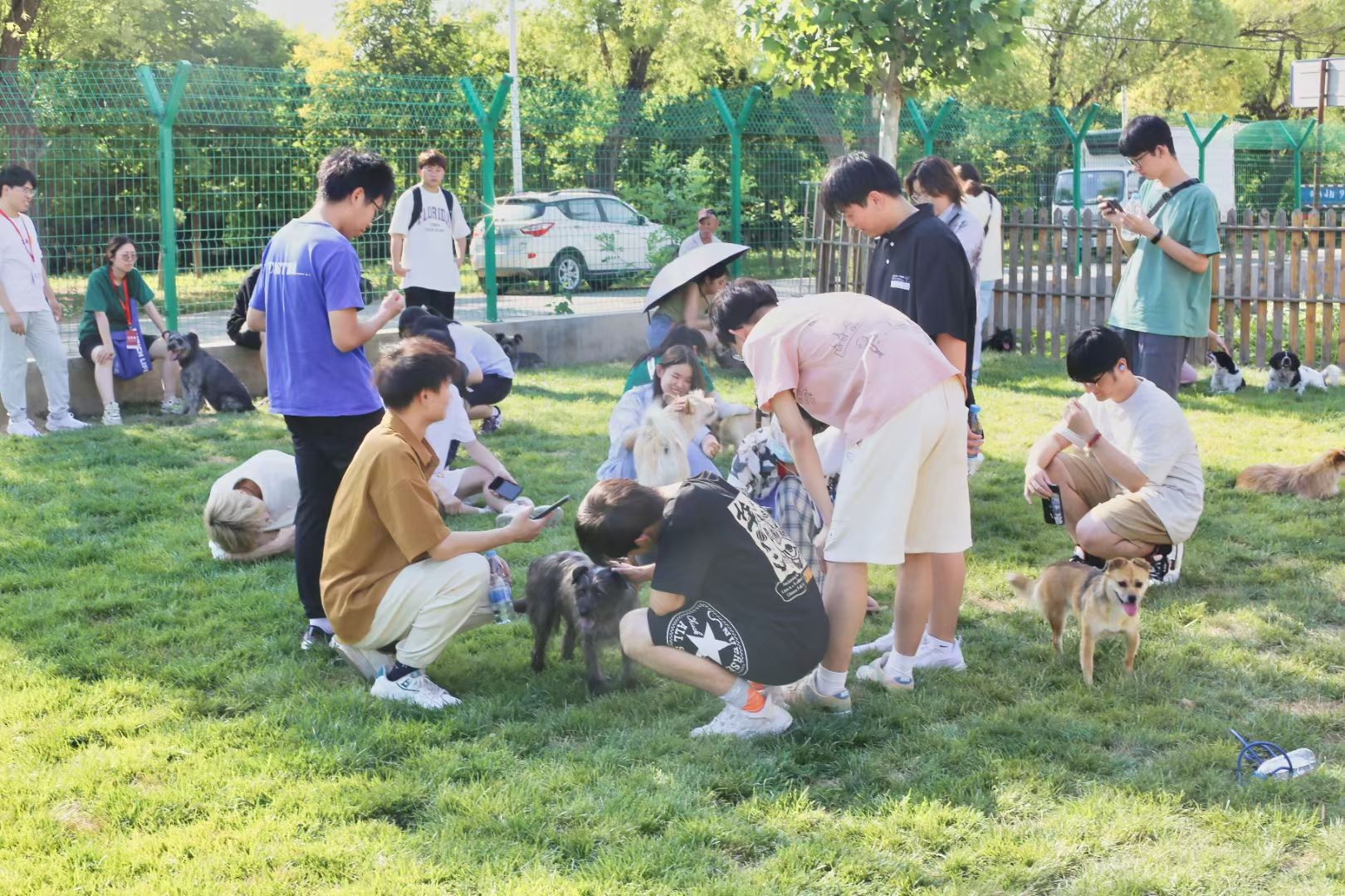 （资料图。疗愈犬与志愿者互动，人宠和谐相处充满暖意。图片来源于首都爱护动物协会。）