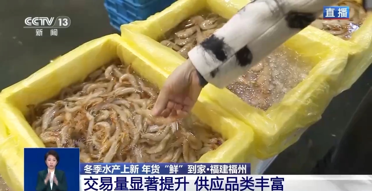 应季水产品大量上市 你家餐桌上的海鲜可能来自这里