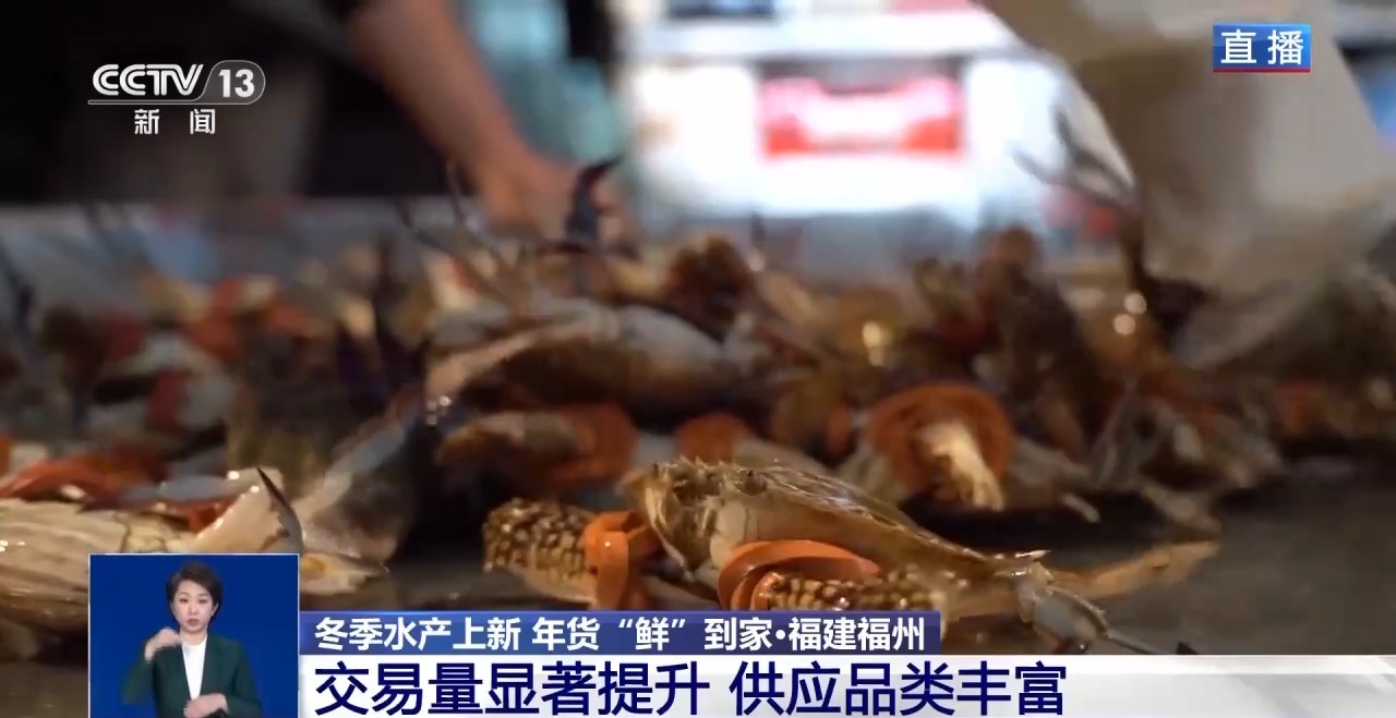 应季水产品大量上市 你家餐桌上的海鲜可能来自这里