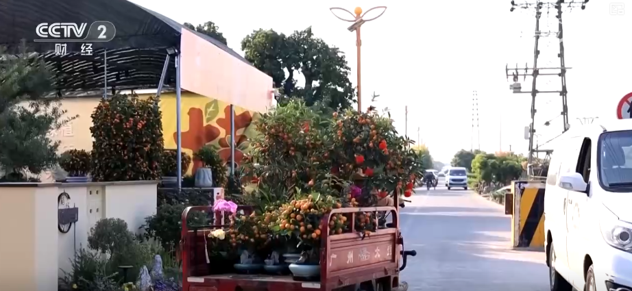 百年大集出圈圈粉海外游客 特色年货走俏“小而美”创新品类拓宽消费新场景