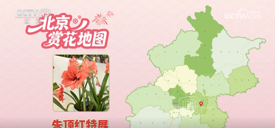 打开赏花地图看繁花美景聚人气、多元场景带旺消费