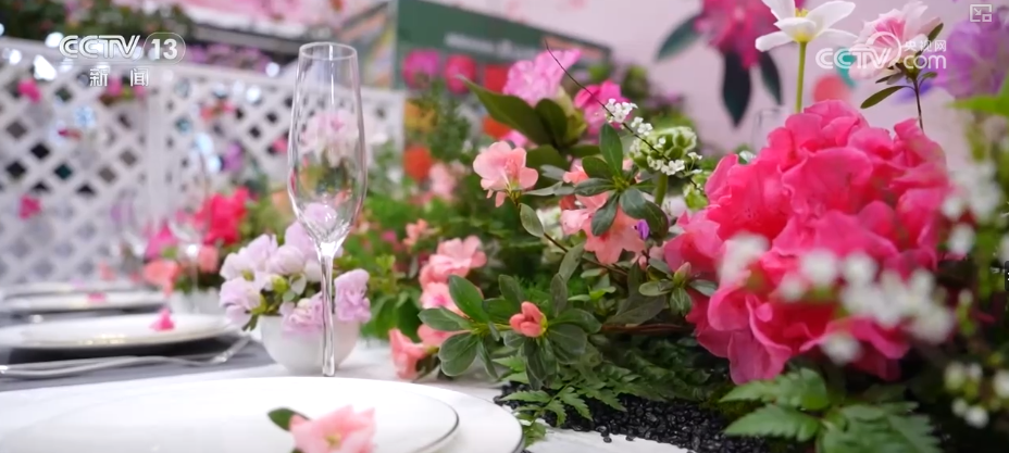 打开赏花地图看繁花美景聚人气、多元场景带旺消费