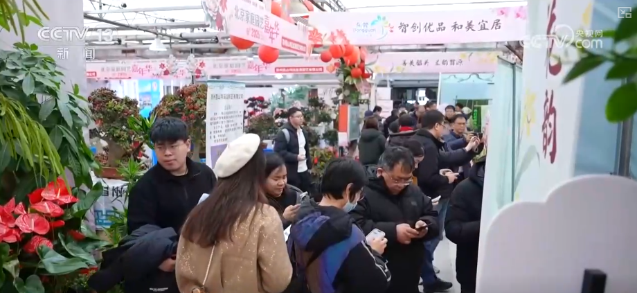 打开赏花地图看繁花美景聚人气、多元场景带旺消费