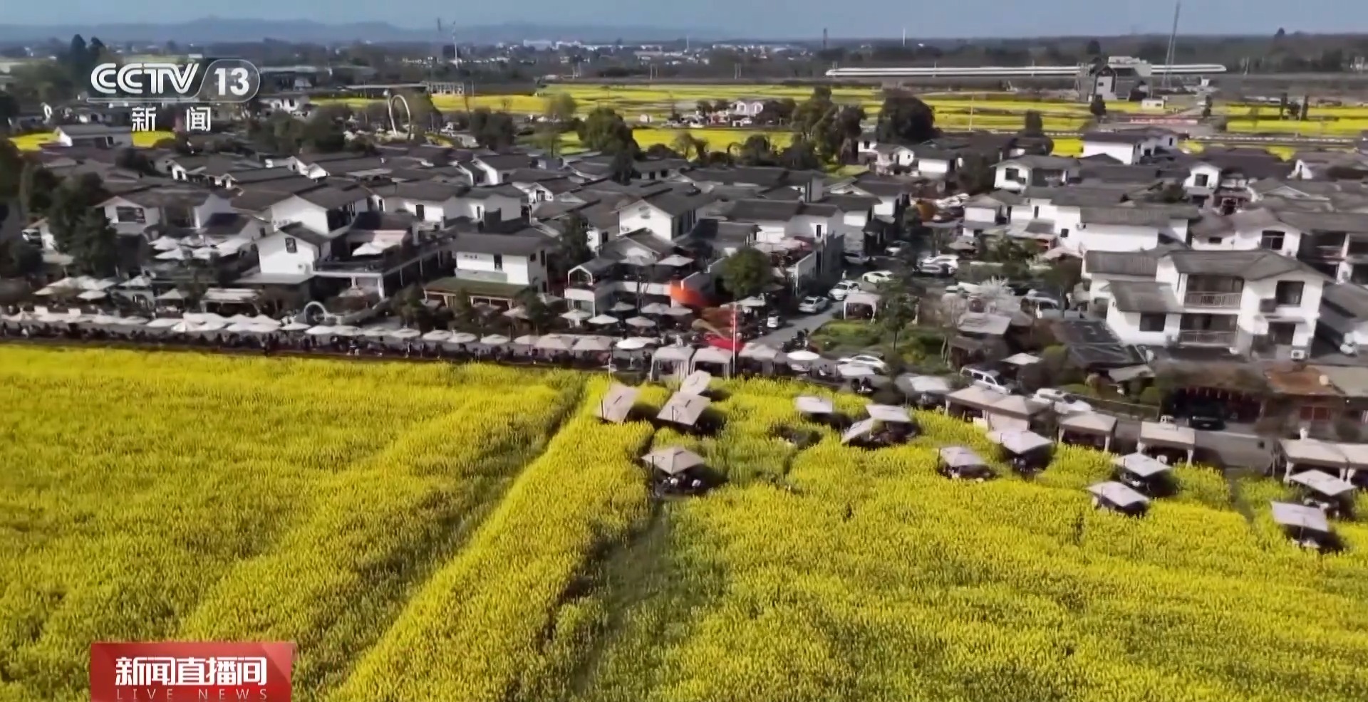 搭上“开往春天的列车” 打卡成雅铁路沿线美景