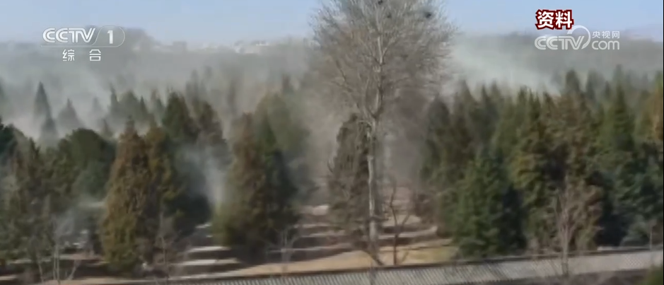 多地进入春季花粉过敏高发期 “秘密武器”助力花粉治理