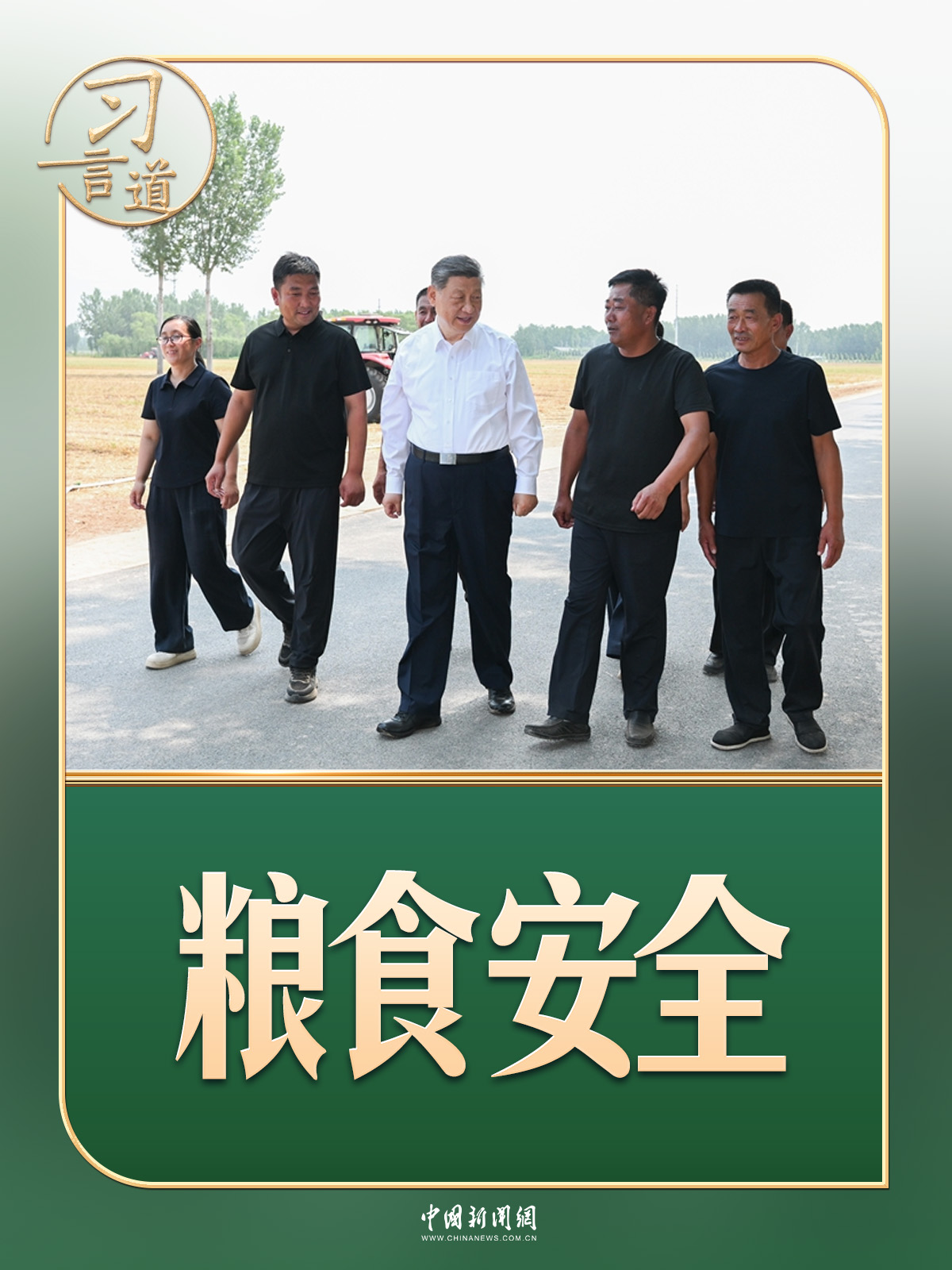 习言道|走到田间地头,总书记说完夏粮说秋粮