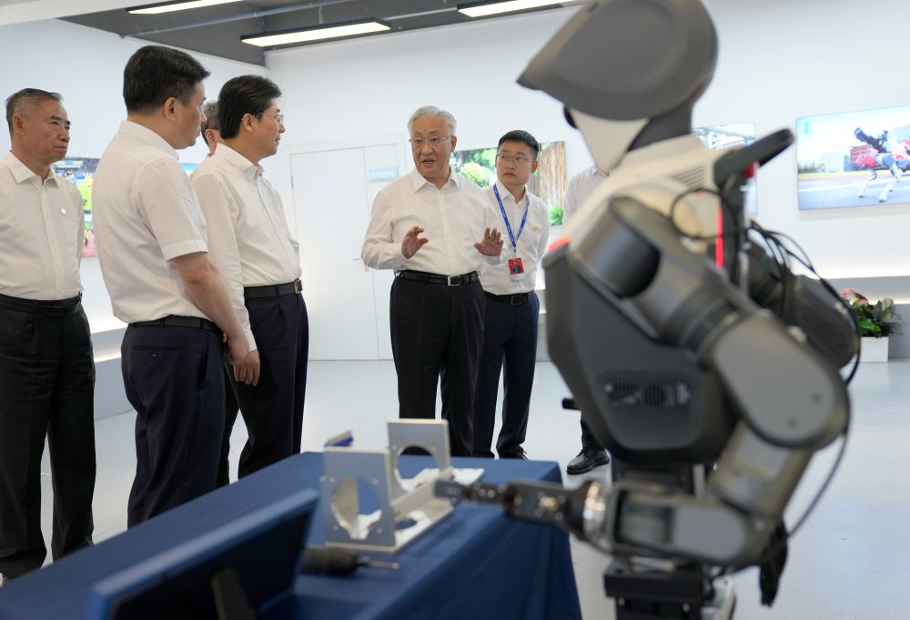 Chinese Vice 