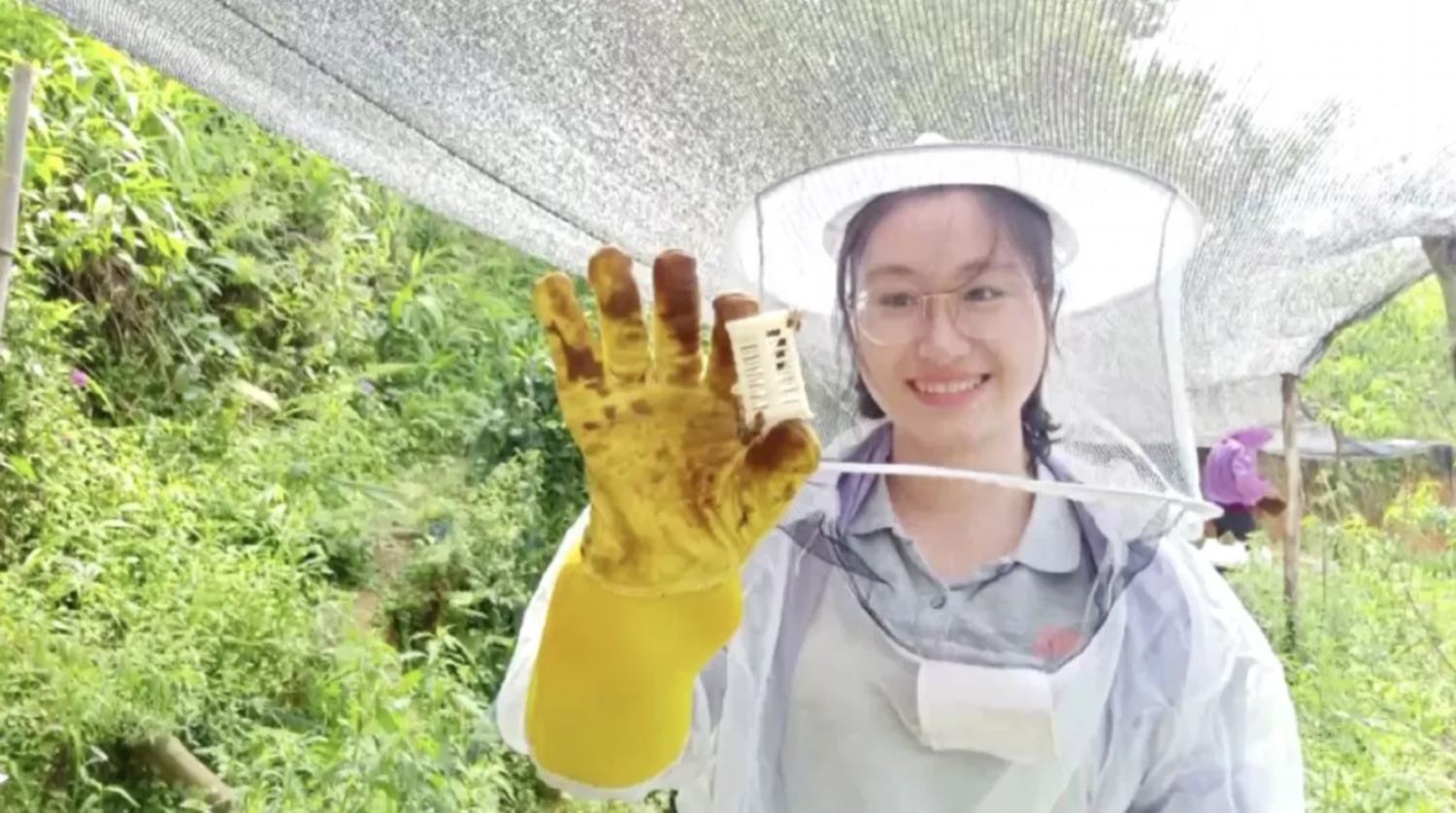 以英雄为名！“文秀”“娇龙”月季上市