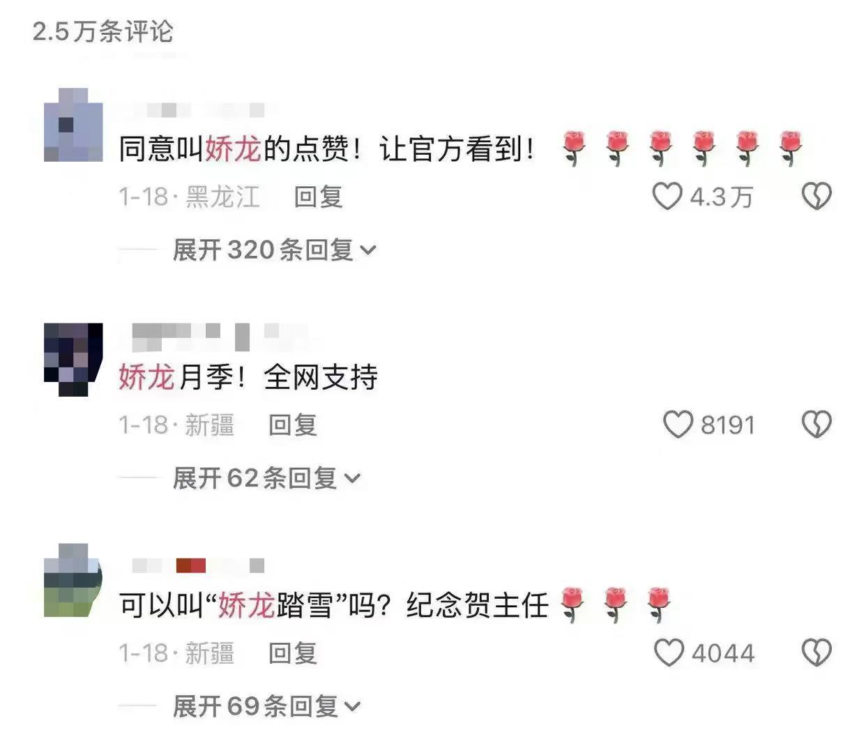 以英雄为名！“文秀”“娇龙”月季上市