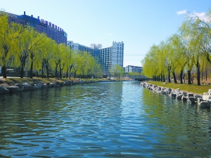 万泉河干涸4年如今又荡碧波