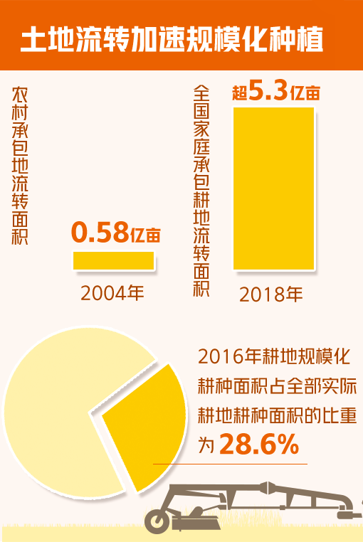 党的十八大以来,以习近平同志为核心的党中央把粮食安全作为治国理政