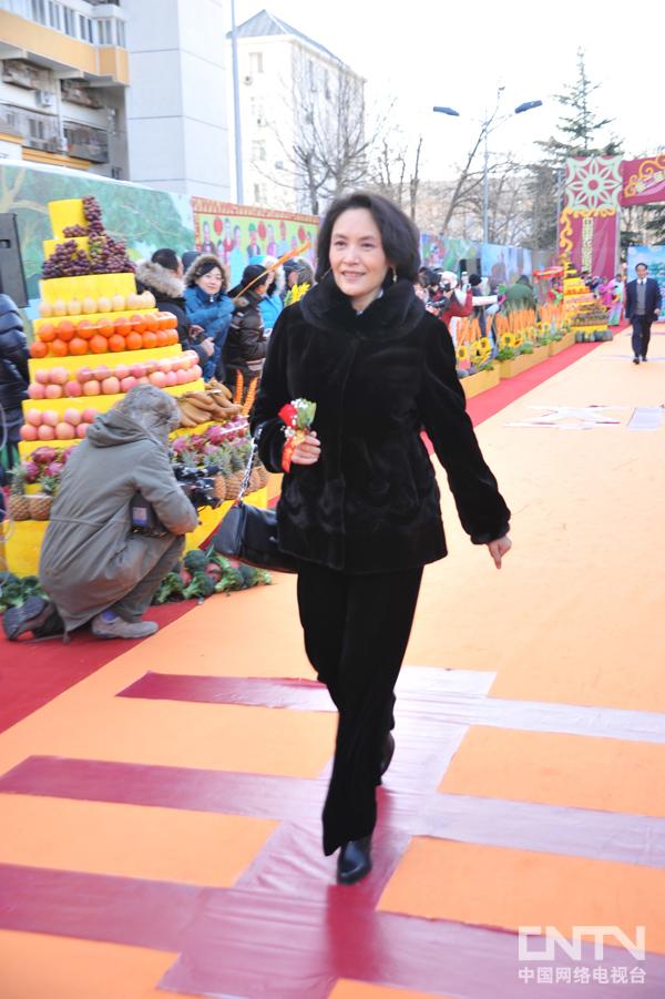 电视艺术节 佟凡,赵越走过丰收大道第二届新农村电视艺术节 马欣娜,王